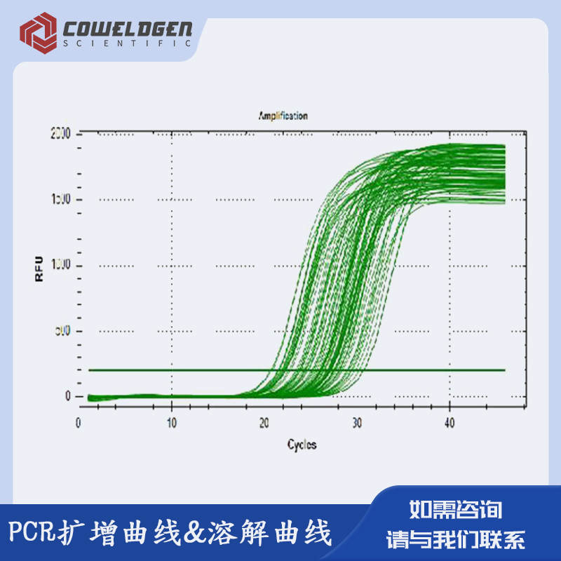 PCR扩增曲线&熔解曲线