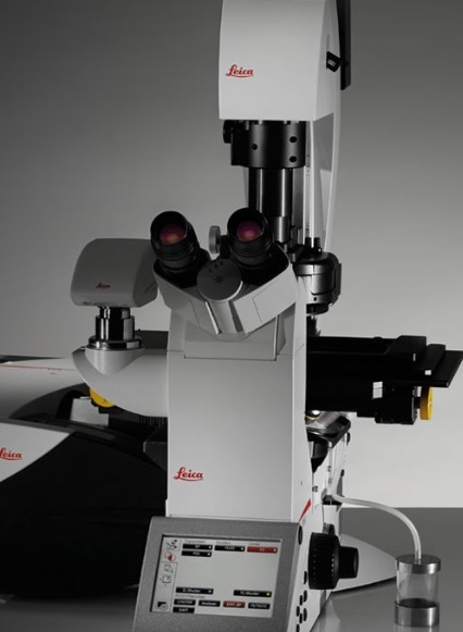 激光共聚焦显微镜检测 Confocal